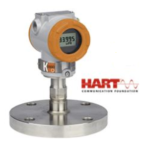 Pressure Transmitter mounted with diaphragm seal