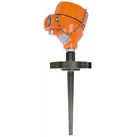 Resistance Thermometers Exd, 1/2 NPT male, 200MM